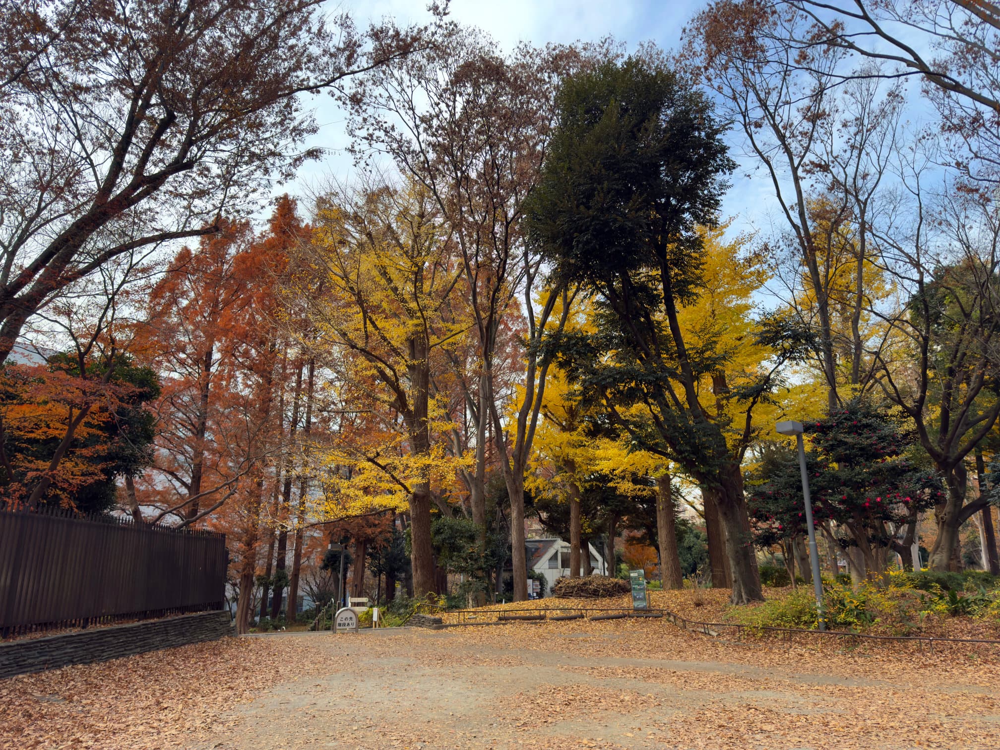 Shinjuku Central Park